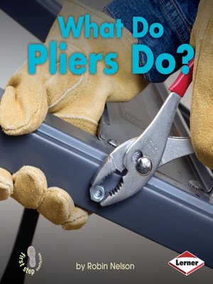 cover image of What Do Pliers Do?